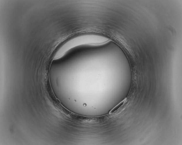 X0000110900164200907021545