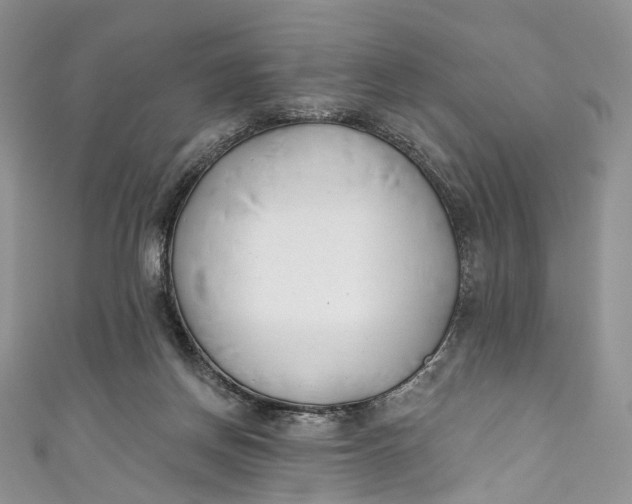 X0000110900166200907021545