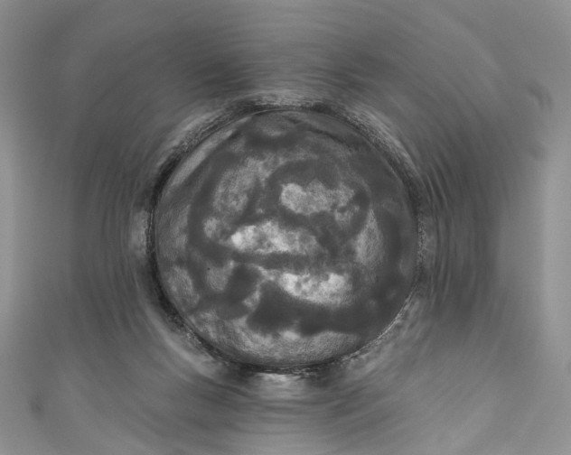 X0000110900167200907021545