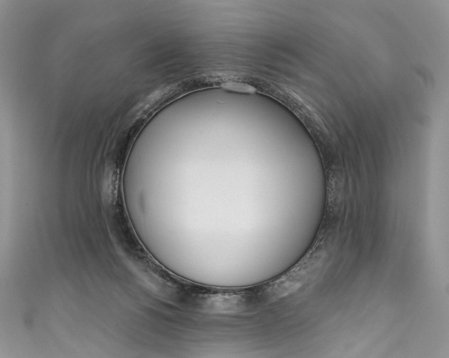 X0000110900168200907021545