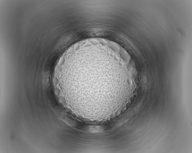 X0000110900169200907021545