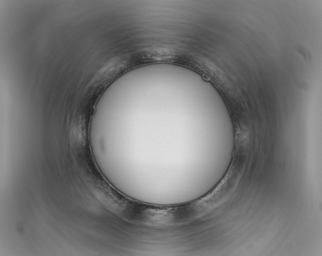 X0000110900170200907021545