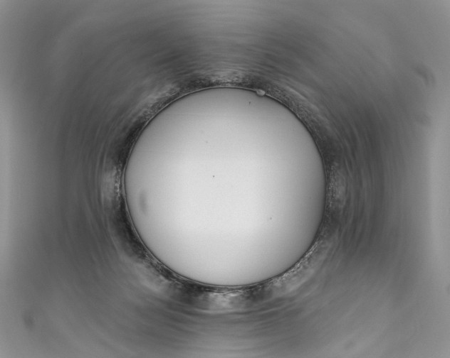 X0000110900172200907021545