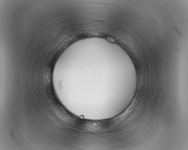 X0000110900174200907021545