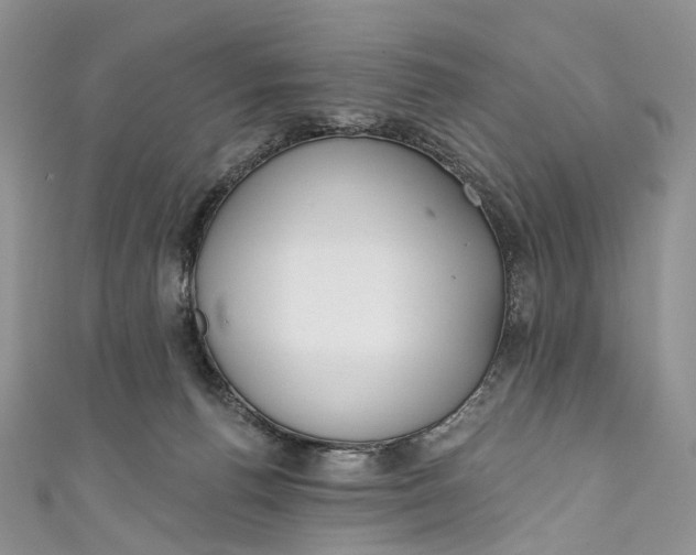 X0000110900176200907021545
