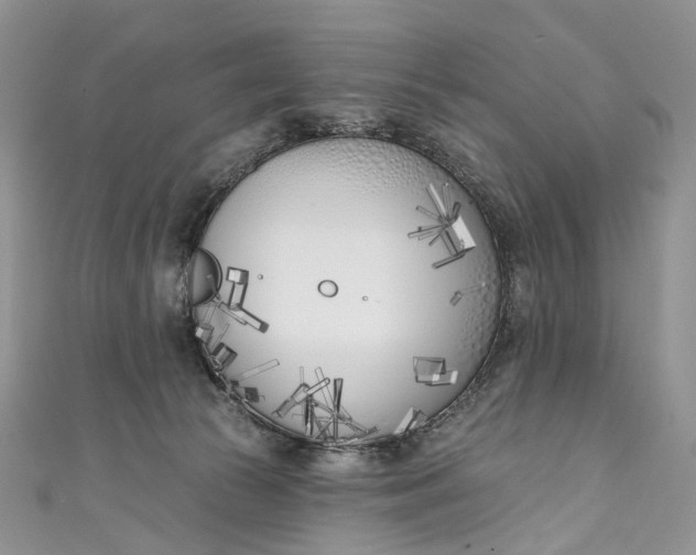 X0000110900177200907021545