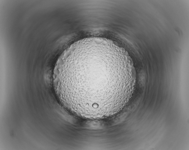 X0000110900181200907021545