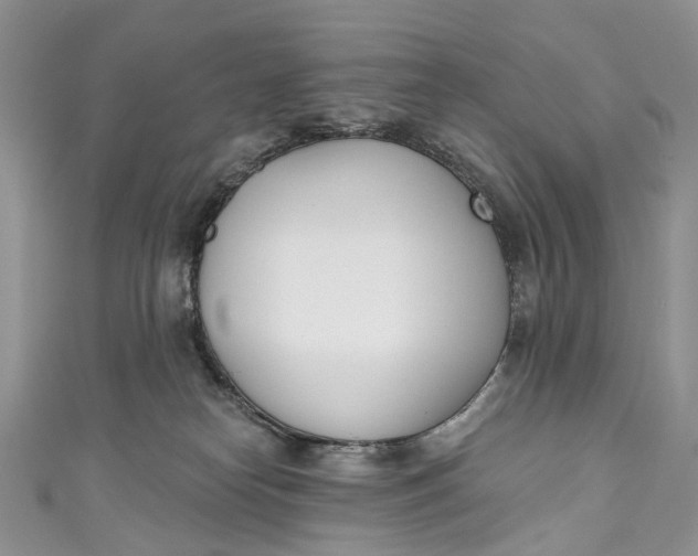 X0000110900182200907021545