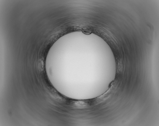 X0000110900183200907021545