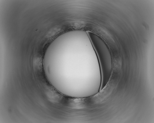 X0000110900184200907021545
