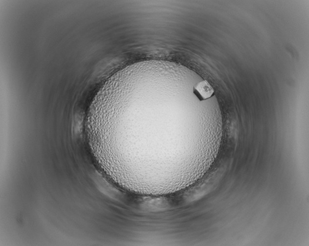 X0000110900185200907021545