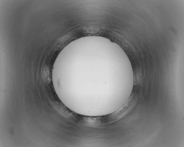 X0000110900187200907021545