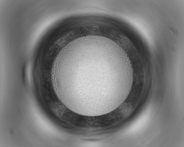 X0000110900189200907021545