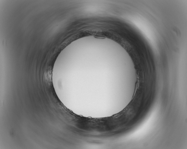 X0000110900190200907021545