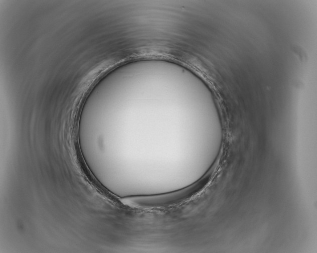 X0000110900193200907021544