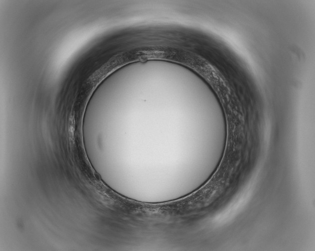 X0000110900194200907021544