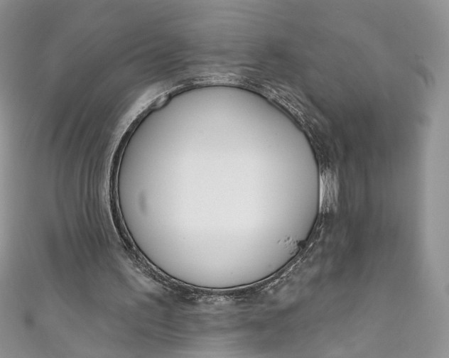 X0000110900195200907021544