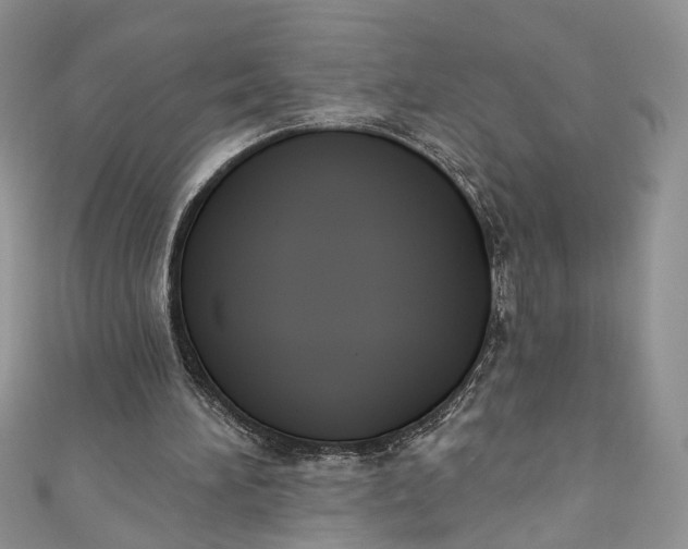 X0000110900196200907021544