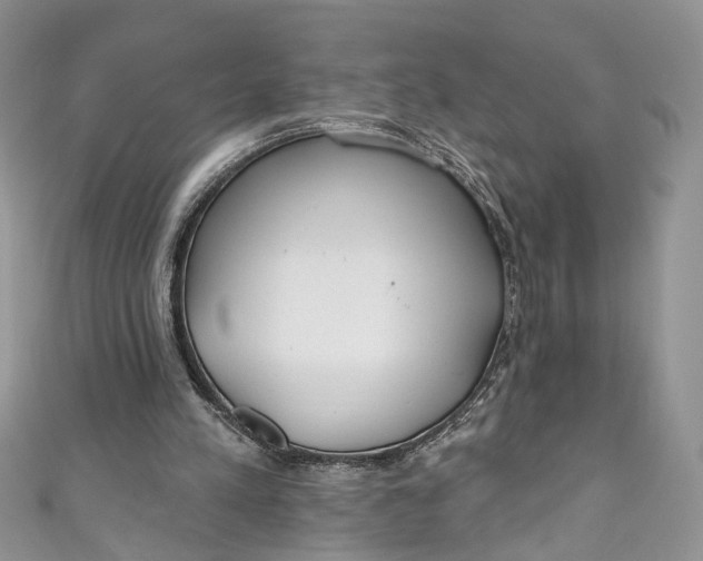X0000110900197200907021544