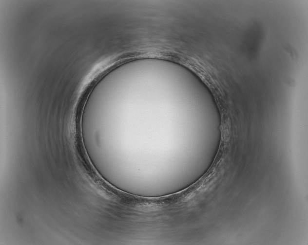 X0000110900198200907021544