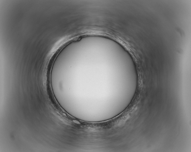 X0000110900199200907021544