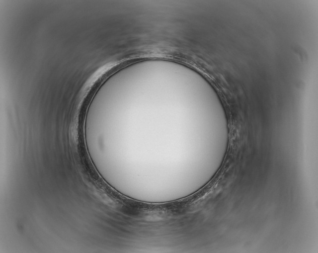 X0000110900200200907021544