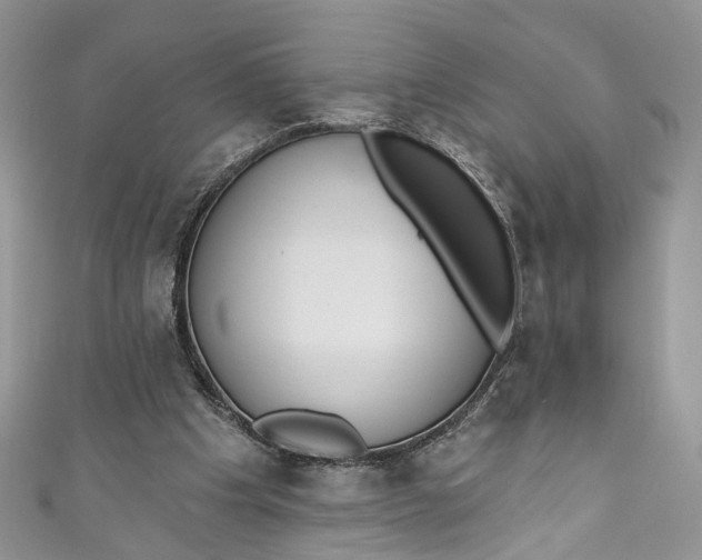 X0000110900201200907021544