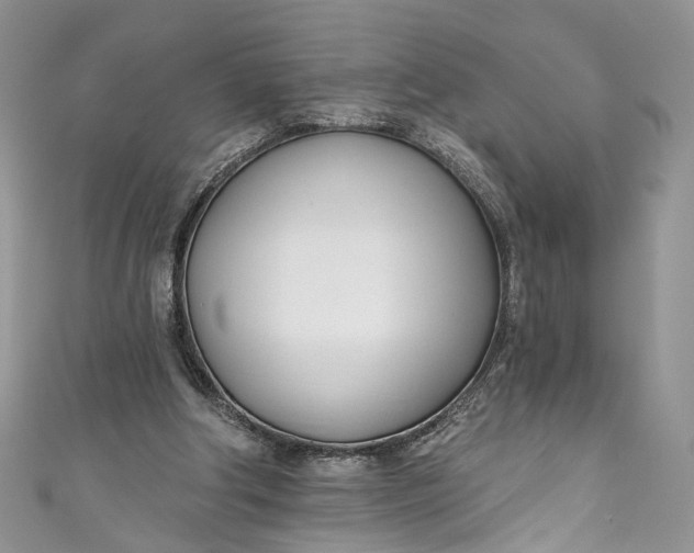 X0000110900202200907021544