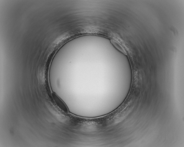 X0000110900203200907021544