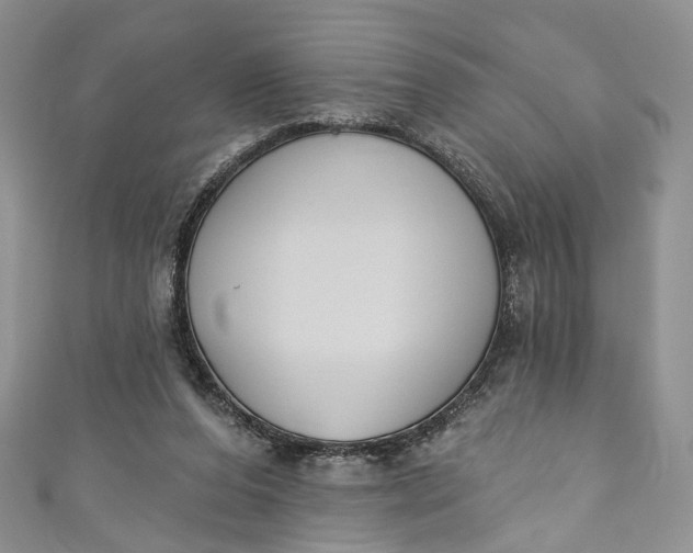 X0000110900208200907021544