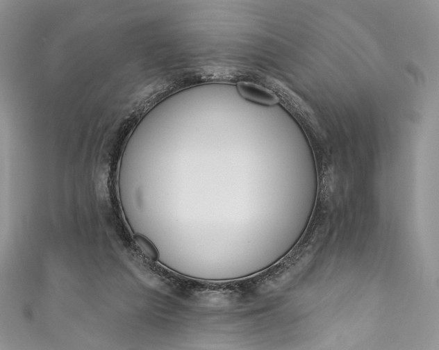 X0000110900209200907021544