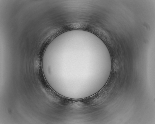 X0000110900210200907021544