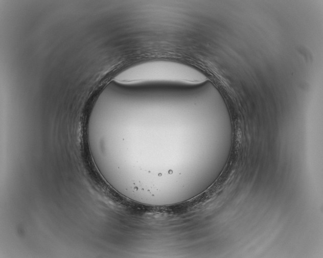 X0000110900211200907021544