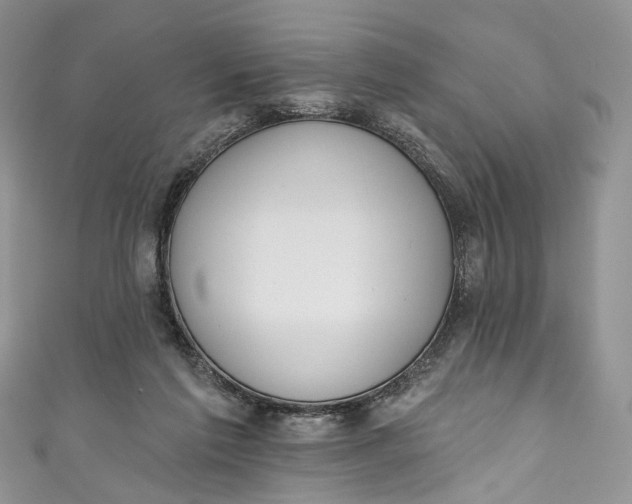 X0000110900213200907021544