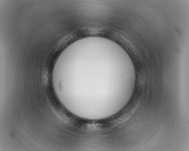 X0000110900216200907021544