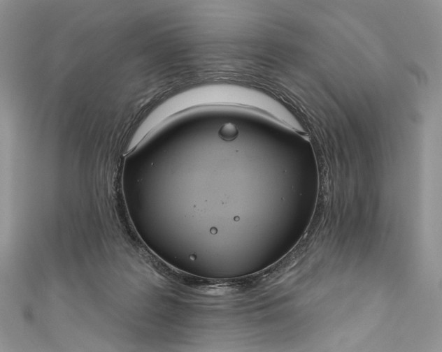 X0000110900219200907021544