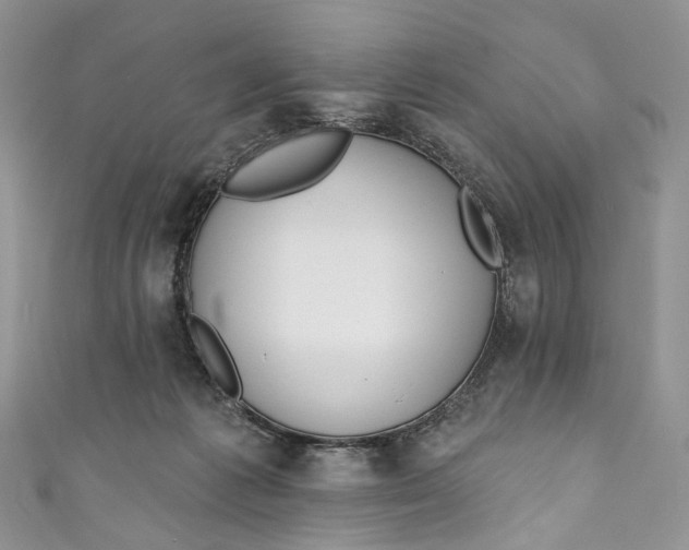 X0000110900221200907021544