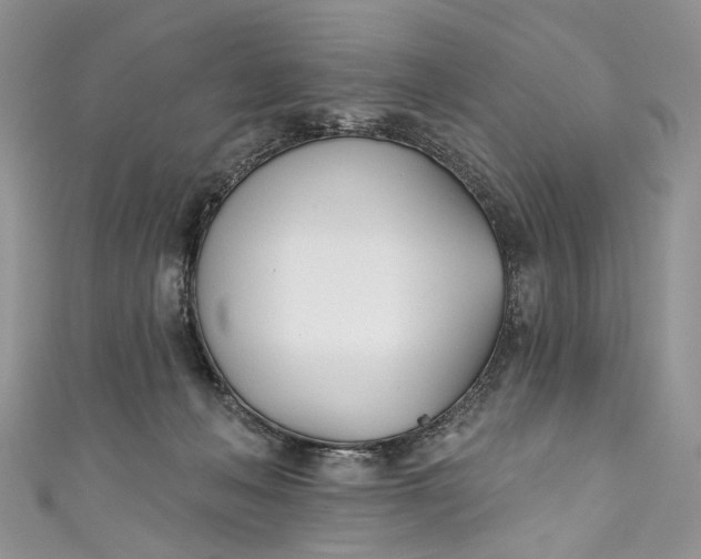X0000110900222200907021544