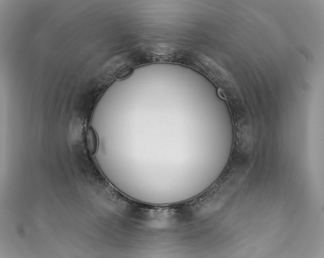 X0000110900225200907021544