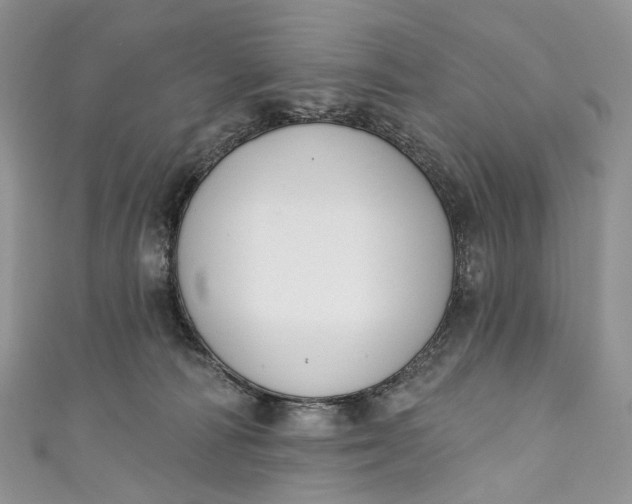 X0000110900226200907021544