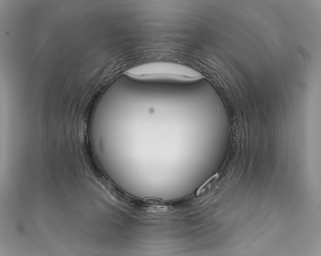 X0000110900227200907021544