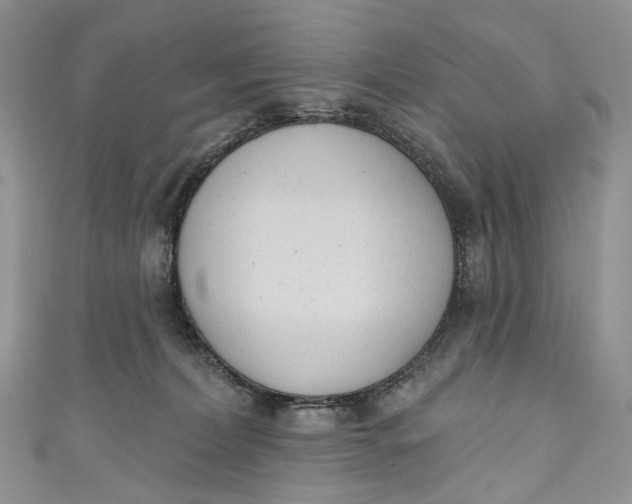 X0000110900228200907021544