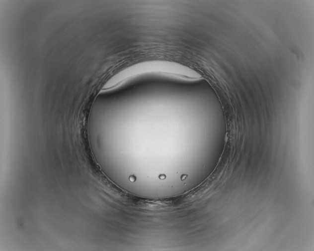 X0000110900229200907021544