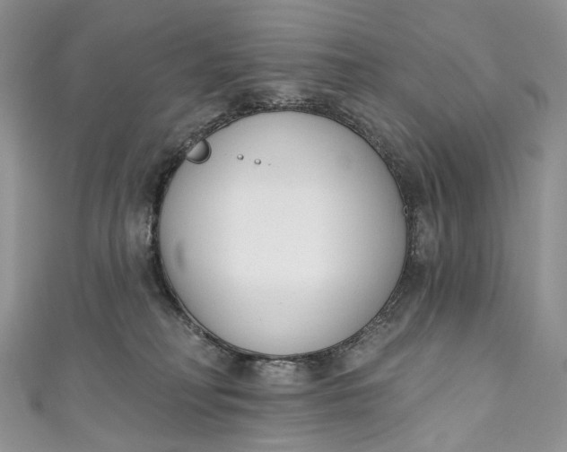 X0000110900230200907021544