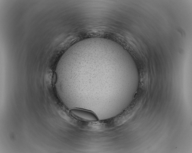 X0000110900231200907021544