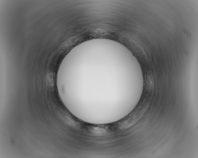 X0000110900232200907021544