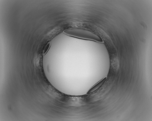 X0000110900233200907021544