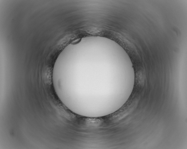 X0000110900234200907021544