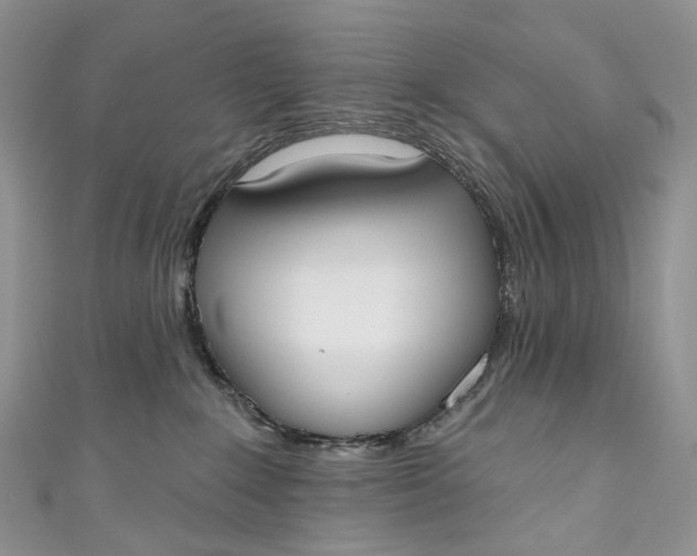 X0000110900235200907021544