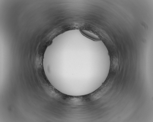 X0000110900236200907021544